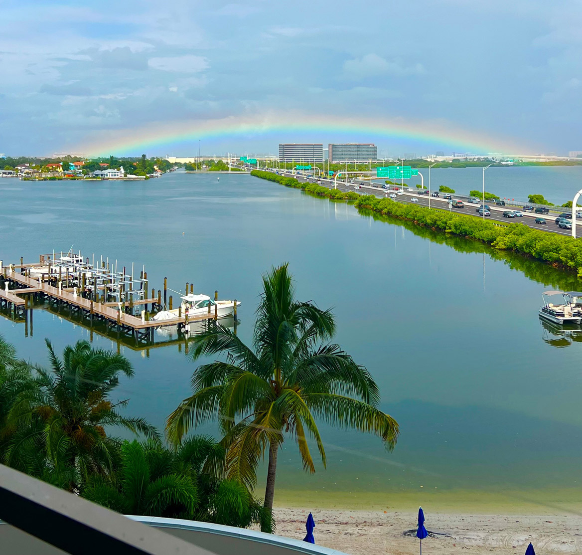 Wink to Westshore from the Westin: Taken By: Colleen Beck